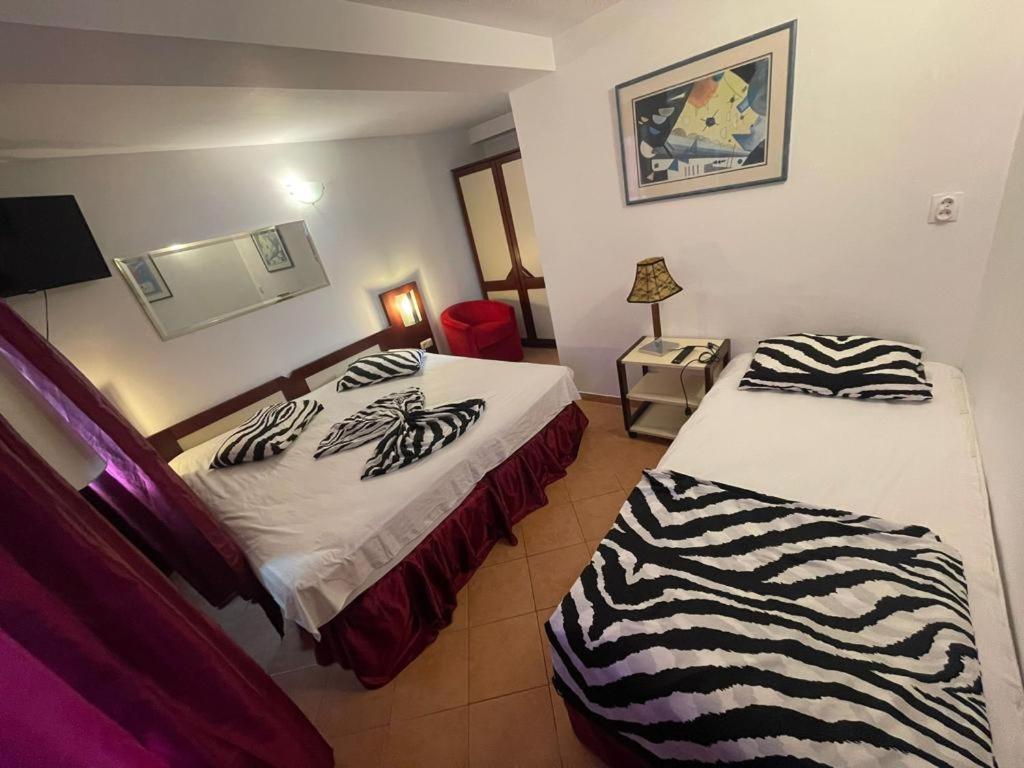 Pensiunea Coquette Costinesti Hotel Exterior photo